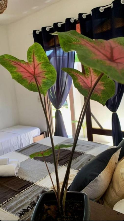 A Arca Pousada Praia de Pipa Exterior foto